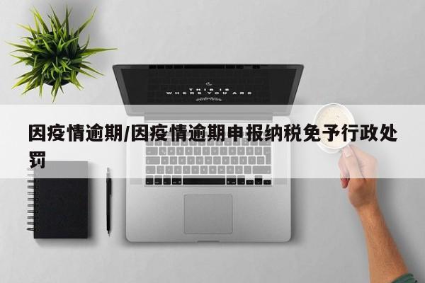 因疫情逾期/因疫情逾期申报纳税免予行政处罚