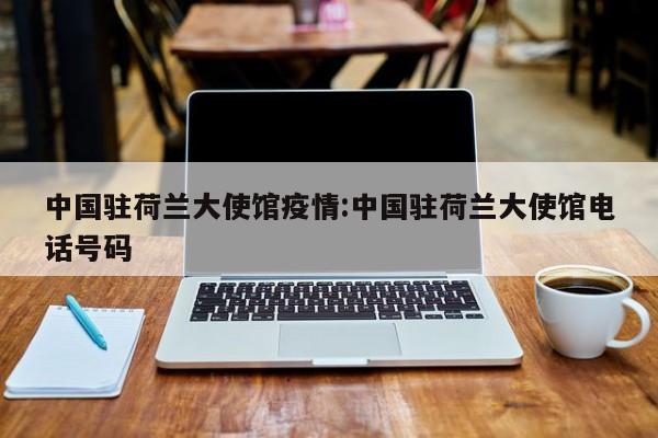 中国驻荷兰大使馆疫情:中国驻荷兰大使馆电话号码