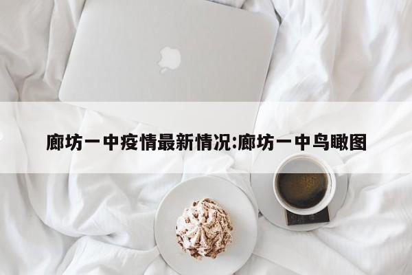 廊坊一中疫情最新情况:廊坊一中鸟瞰图